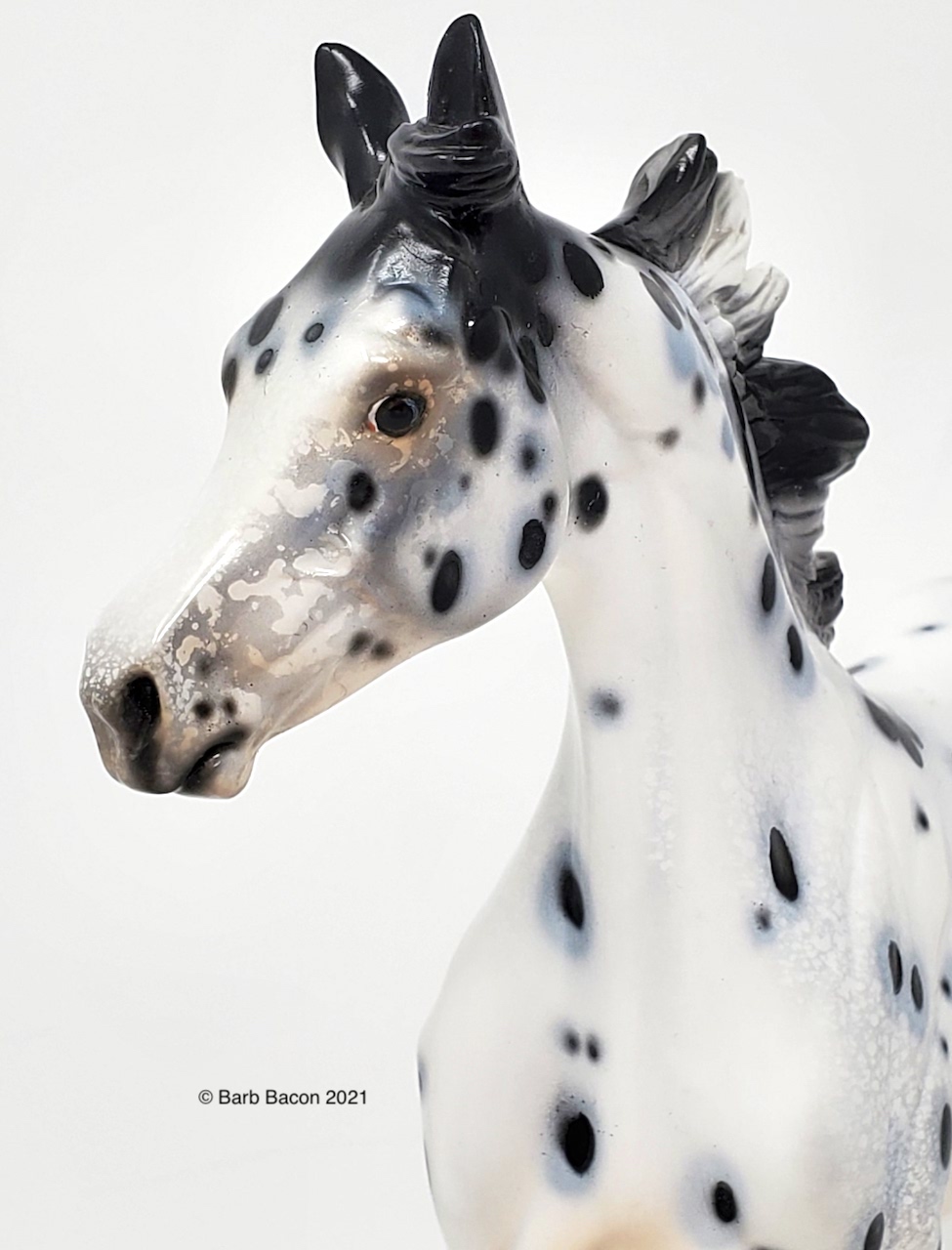 Calliope StoneHorseRef