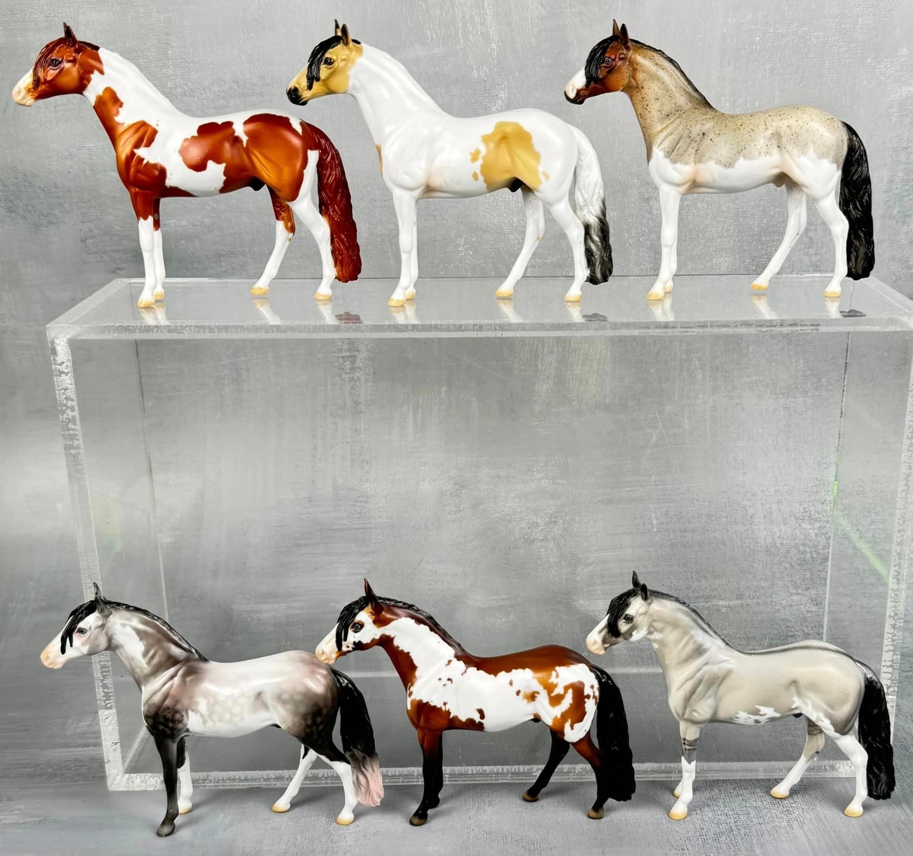 Splashed Pinto Sept 2024 Grab Bag Chips: Andalusian Series - Roan Splash Pinto ...
