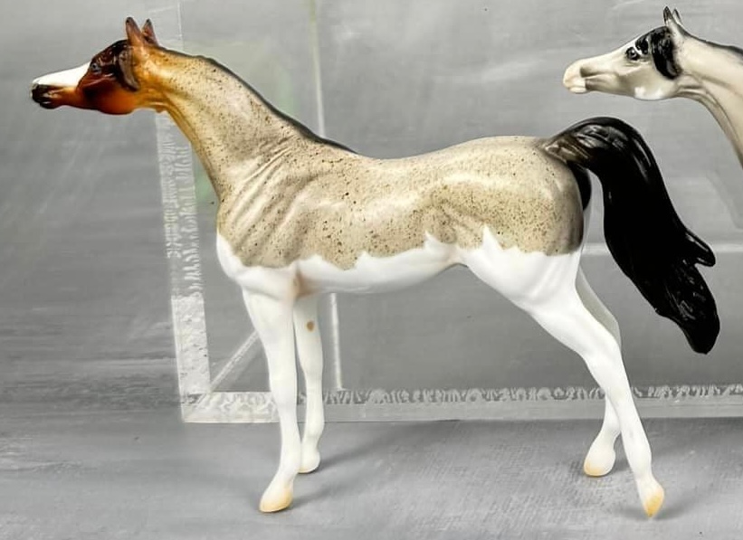 Splashed Pinto Sept 2024 Grab Bag Chips: Arabian Series - Roan Splash Pinto ...