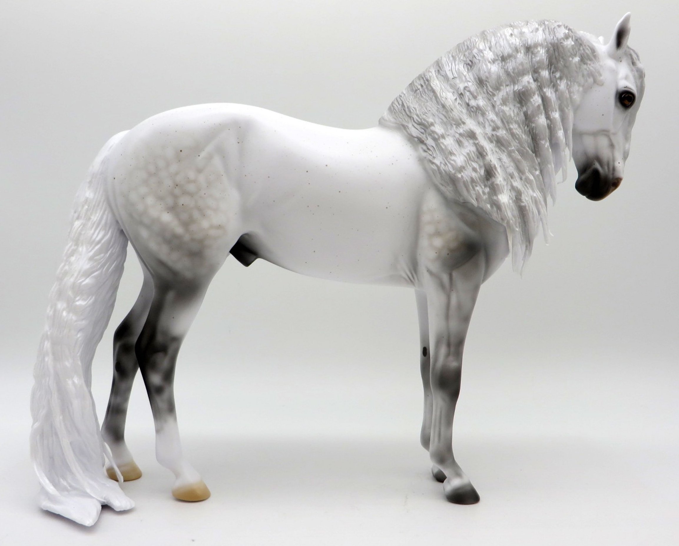 Magnifico | StoneHorseRef