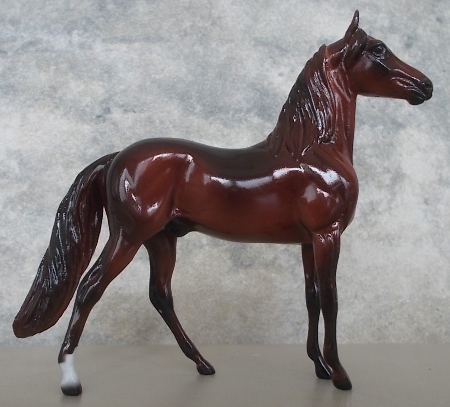 Mystery Chestnut Morgan Chip | StoneHorseRef